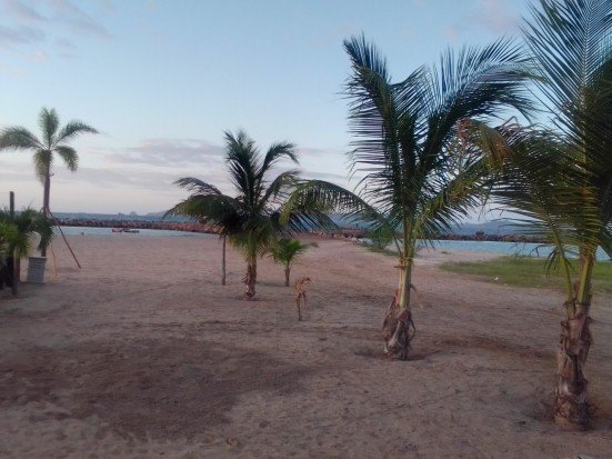 playacangrejo140722.jpg