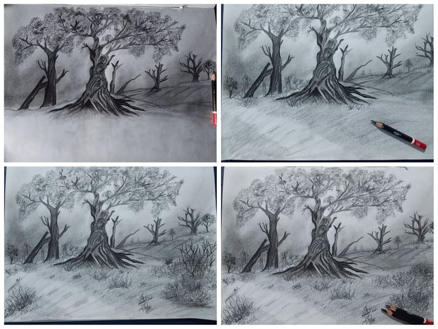 Collage_20250429_200611.jpg