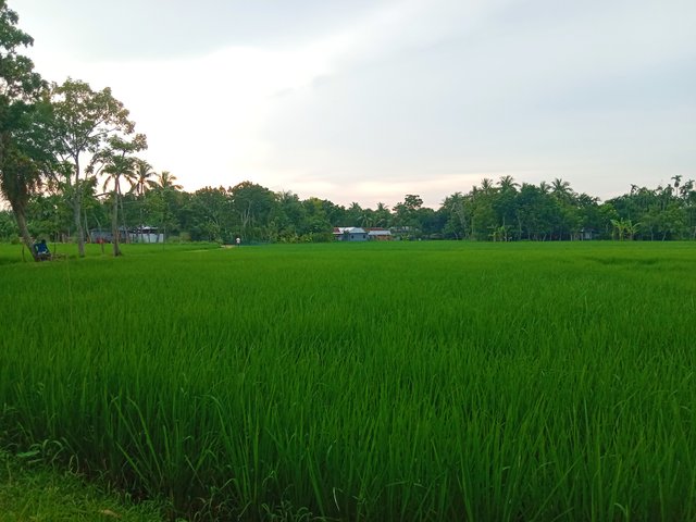 IMG_20250910_210342.jpg