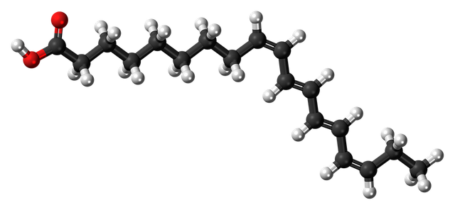 alpha-parinaric-acid-872702_960_720.png