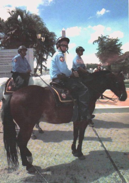 caballos.jpg