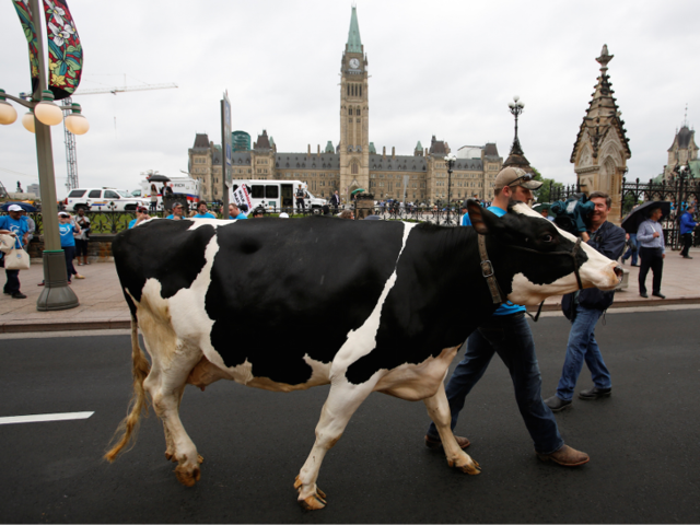 T19-Ottawa-Canada-This-city-is-considered-the-most-educated-in-Canada-with-its-wealth-of-post-secondary-research-and-cultural-institutions-It-also-has-low-unemployment-and-parts-of-the-city-are-a-UNESCO-World-Heritag.png