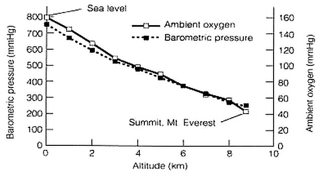Everest_Oxygen_Graph.jpg