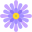aster (1).png