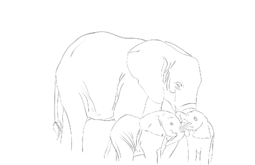 Elefante 1.png