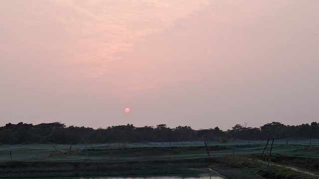 20240405_175249.jpg