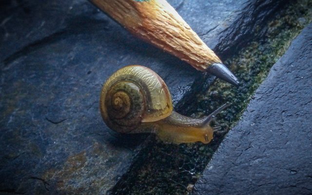 IMG_20250822_173948_530 (1).jpg