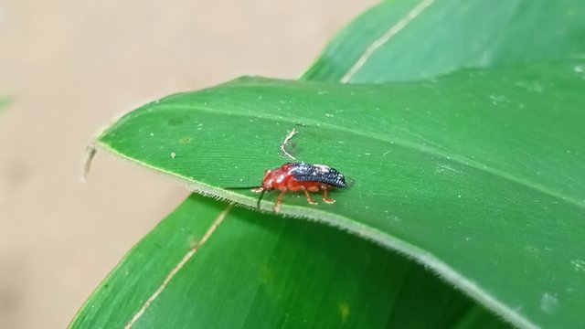 IMG20250606114608.jpg