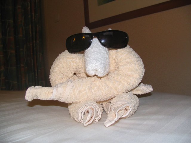 towel-animal-183211_1920.jpg