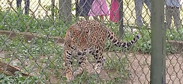 IMG_20250830_151138_374.jpg