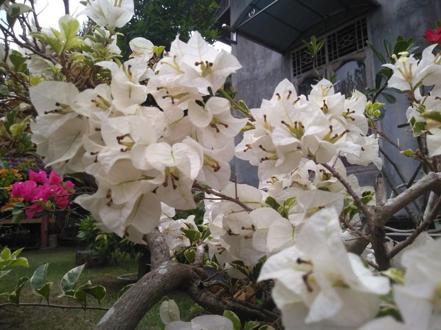 IMG20210405180141.jpg