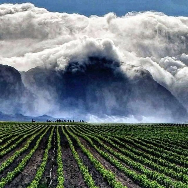 Clouds over mountain at Wellington.jpg