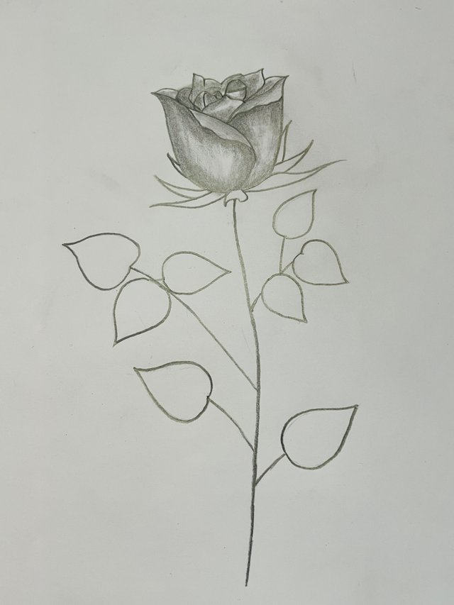 IMG_2752.jpeg