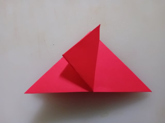 1000042537.jpg