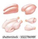 stock-vector-raw-fresh-chicken-parts-set-vector-realistic-illustration-of-whole-chicken-breast-breast-halves-1022786989.jpg