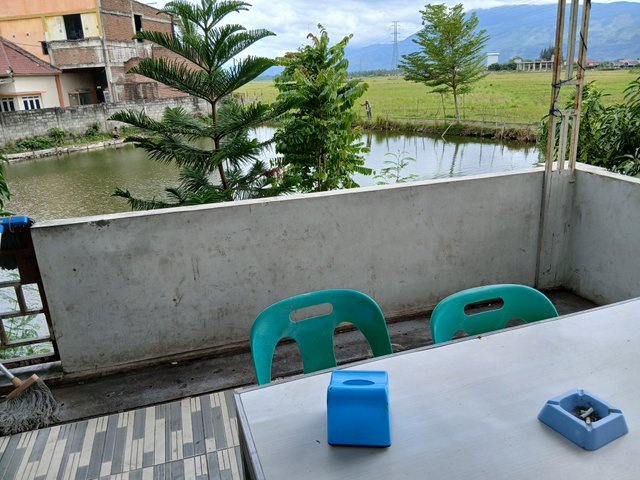 20250512_142022.jpg
