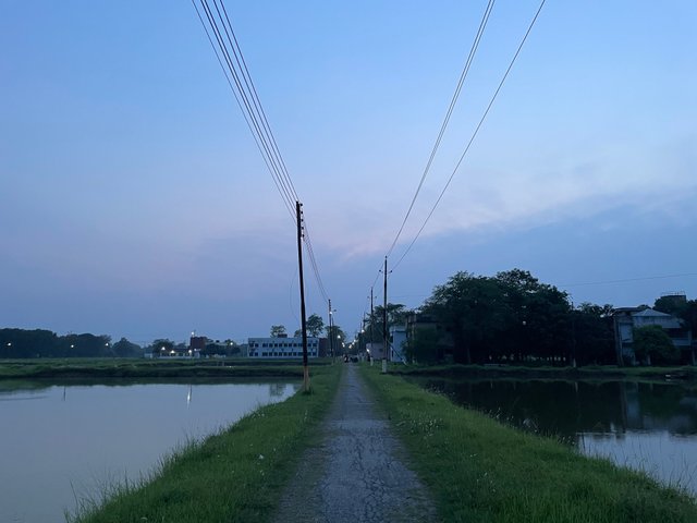 IMG_3131.jpeg