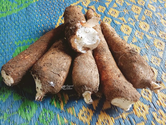 Cassava.jpg