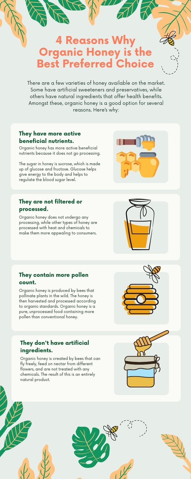 4 Reasons Why Organic Honey is the Best Preferred Choice (1).jpg