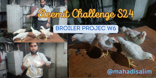 Steemit Challenge S24 w6.png