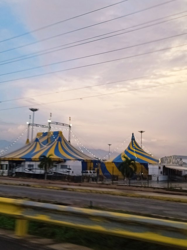 IMG_20250508_165018.jpg