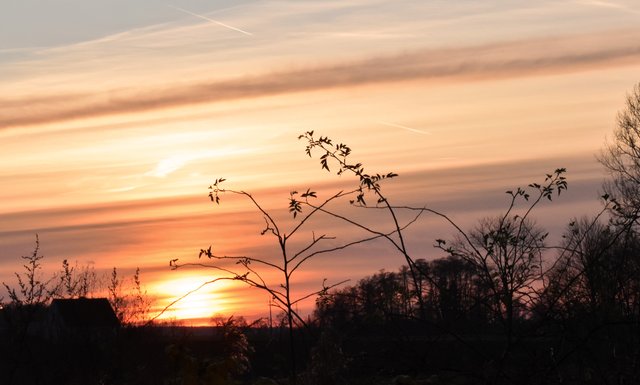 sunset silhouettes pl.jpg