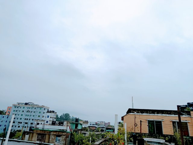 1000032025.jpg