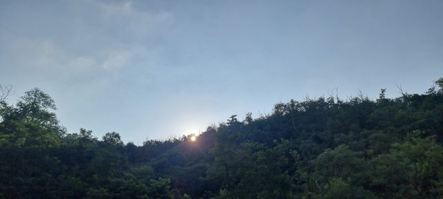 20250724_174741.jpg
