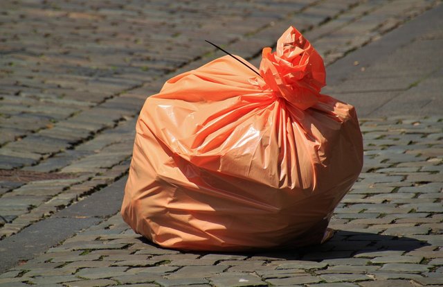 trash-bag-850874_1280.jpg