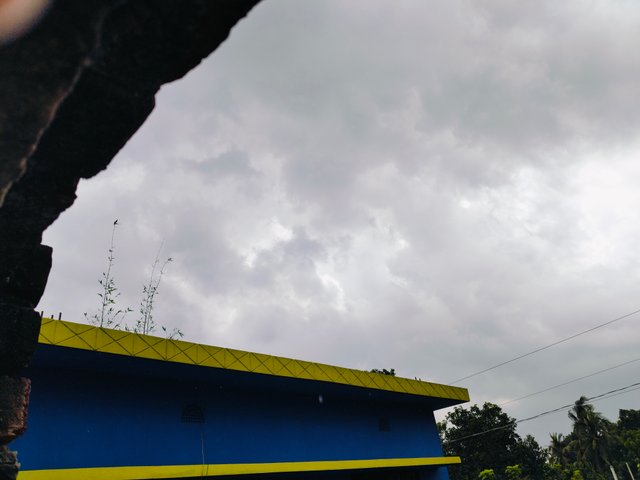 1000013115.jpg