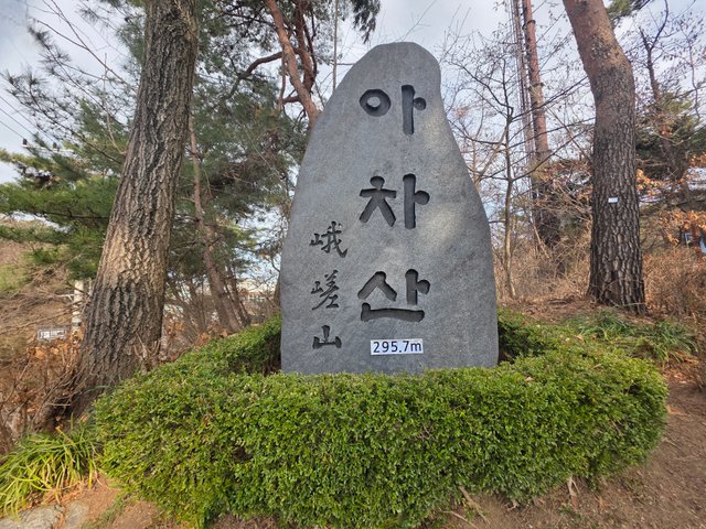 1000127893.jpg