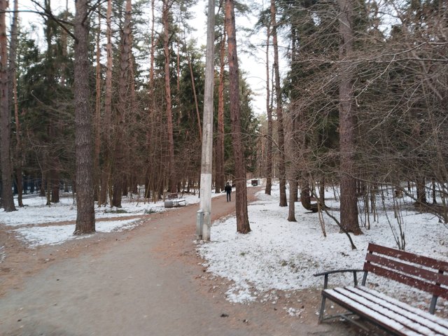 IMG_20250406_181313.jpg
