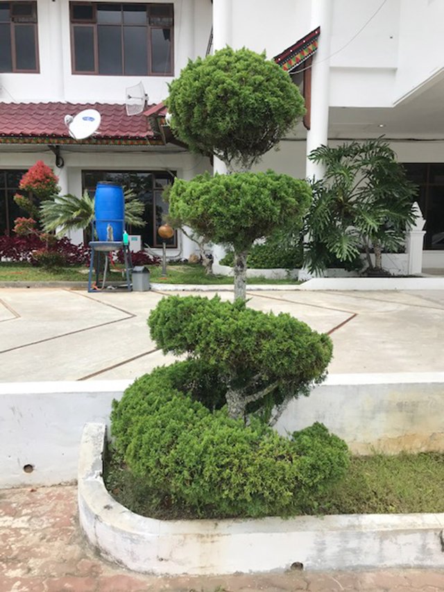 Kantor Bupati Gayo Lues_08.jpg