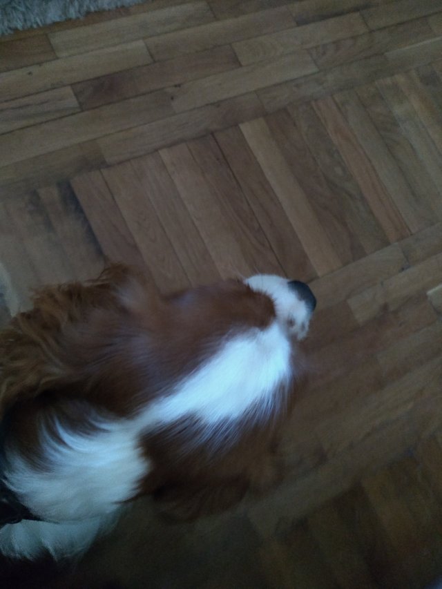 2021-08-02 08.53.28.jpg