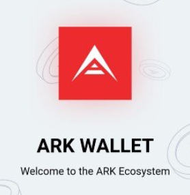 wallet ark.02.png