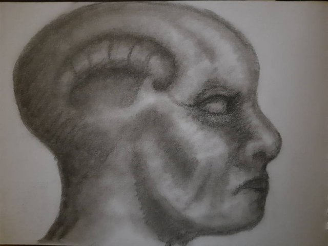 20250814_104246.jpg