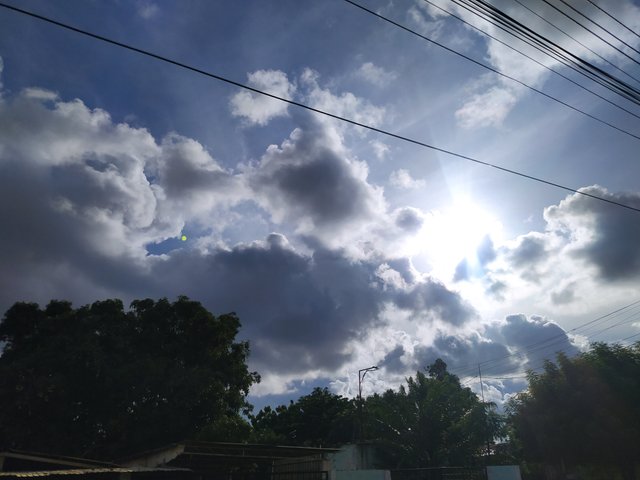 IMG_20250624_171845.jpg