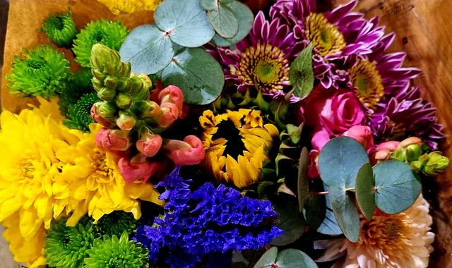 IMG-20220829-WA0035.
