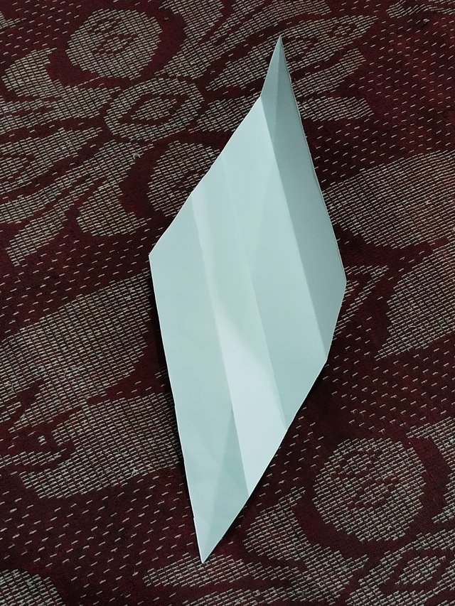 1000014446.jpg