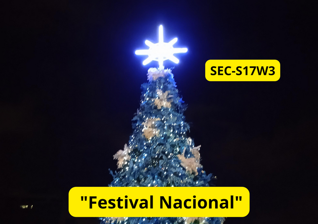 _Festival Nacional__20240426_000506_0000.png