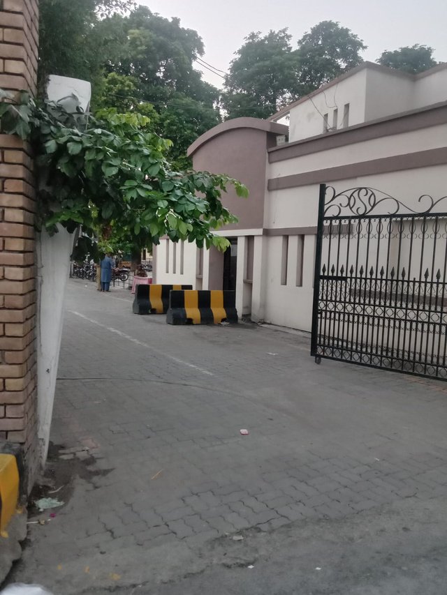 image.jpeg