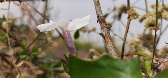 20220123_123933.jpg