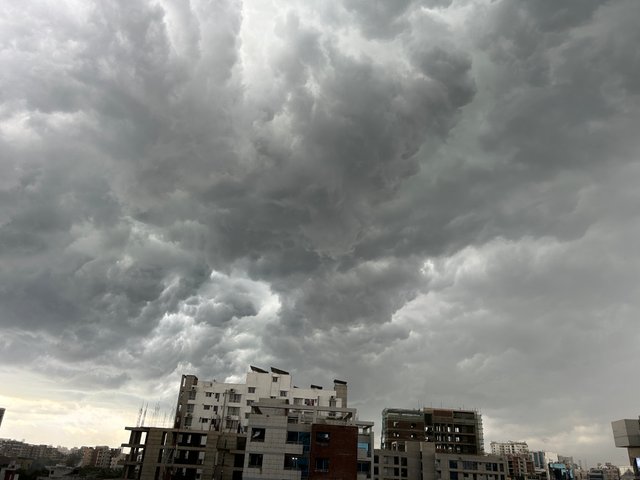 IMG_0586.jpeg
