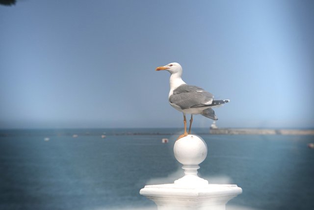 DSC07772.JPG