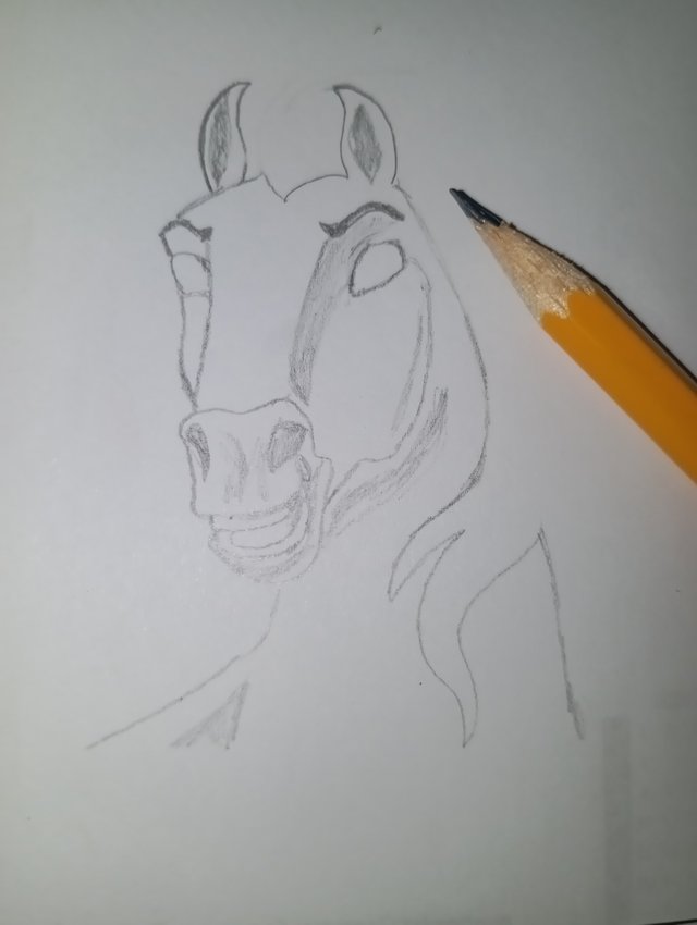 1000052860.jpg
