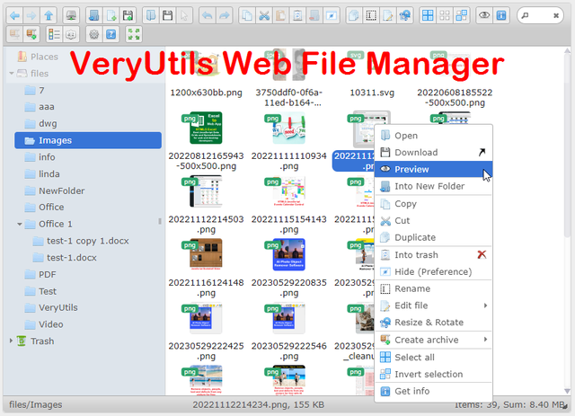 VeryUtils Web File Manager.png