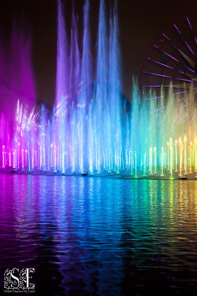 World of Color (28).jpg