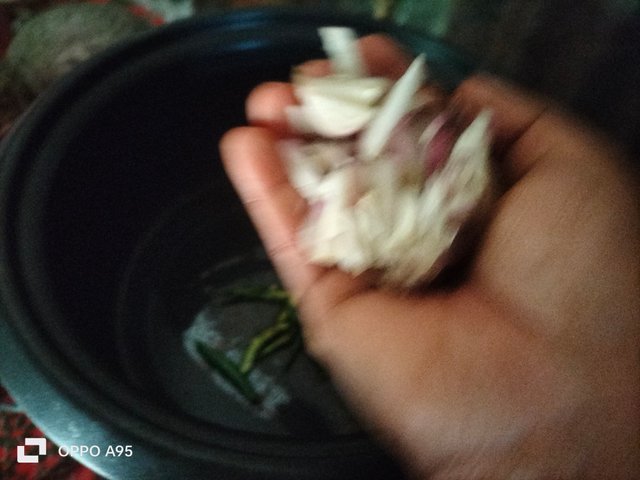 IMG20250309102835.jpg