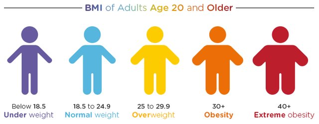 obesity-info-clasification.jpg