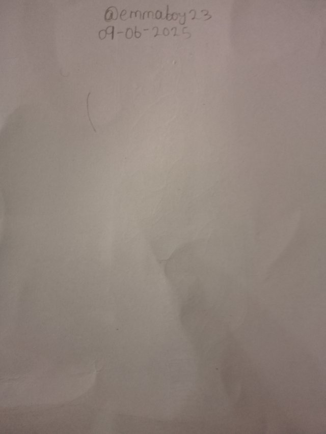 IMG_20250609_142228_959.jpg